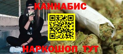 МДПВ Камышлов