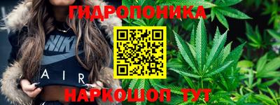 jwh Канаш