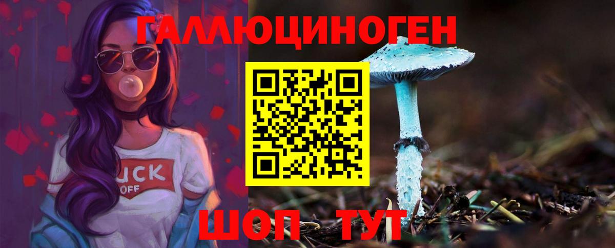Псилоцибиновые грибы Psilocybine cubensis Красноармейск